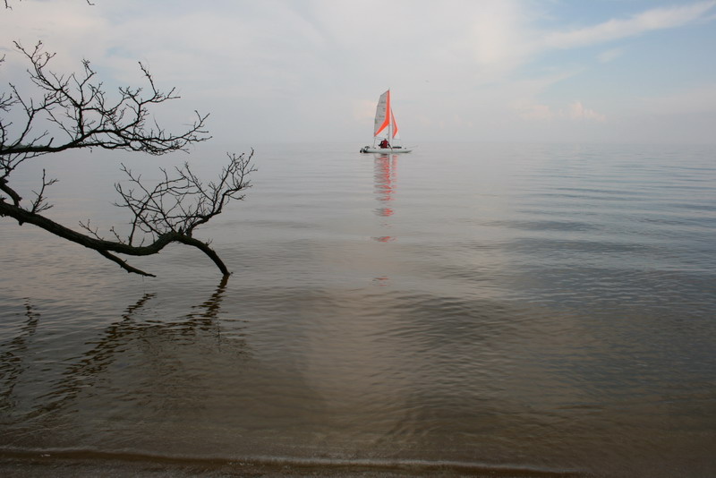 IMG_0860.jpg