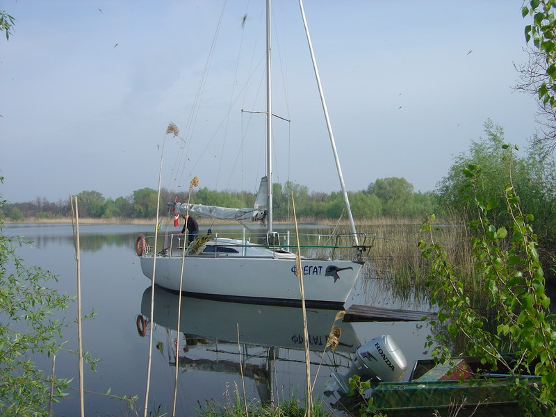 DSC00300.JPG