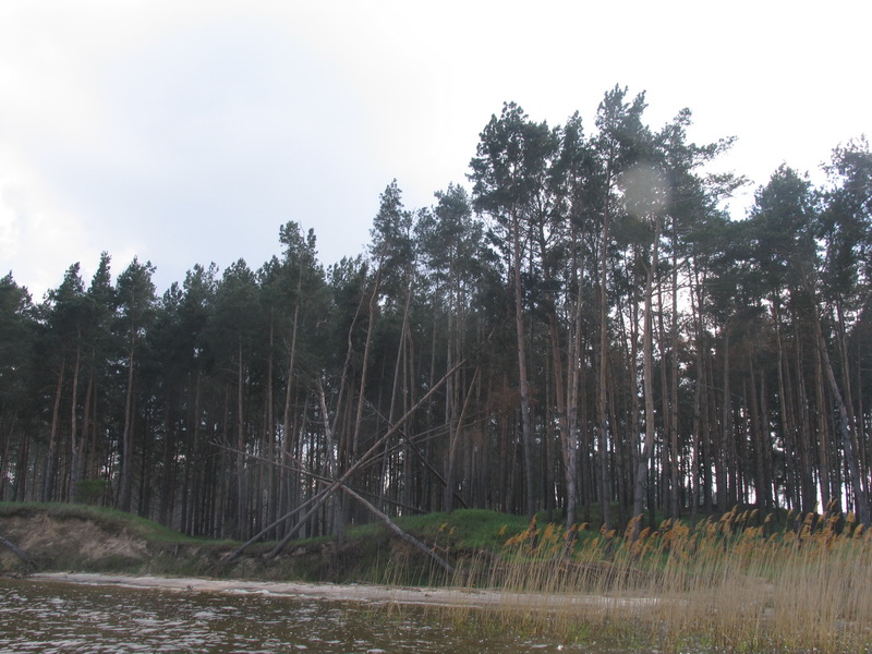 регата 320.jpg