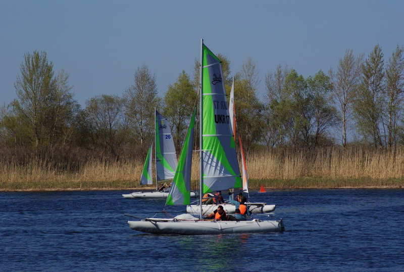 DSC01458.jpg