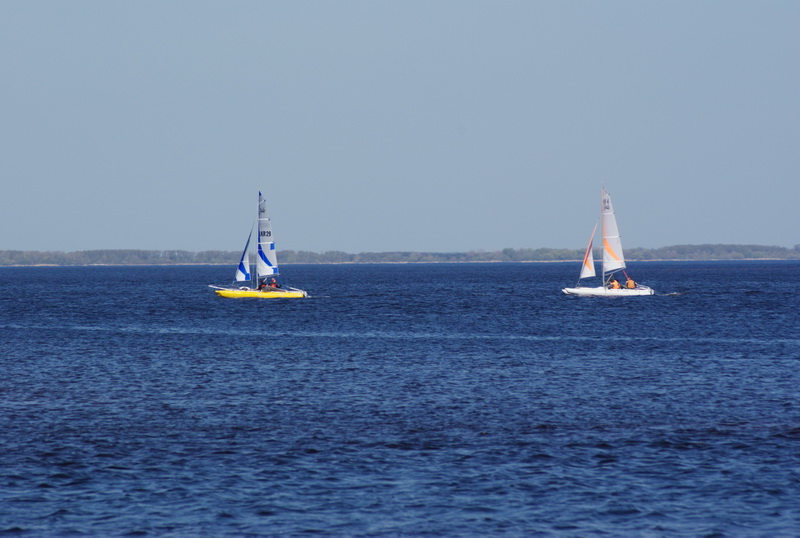 DSC01384.jpg