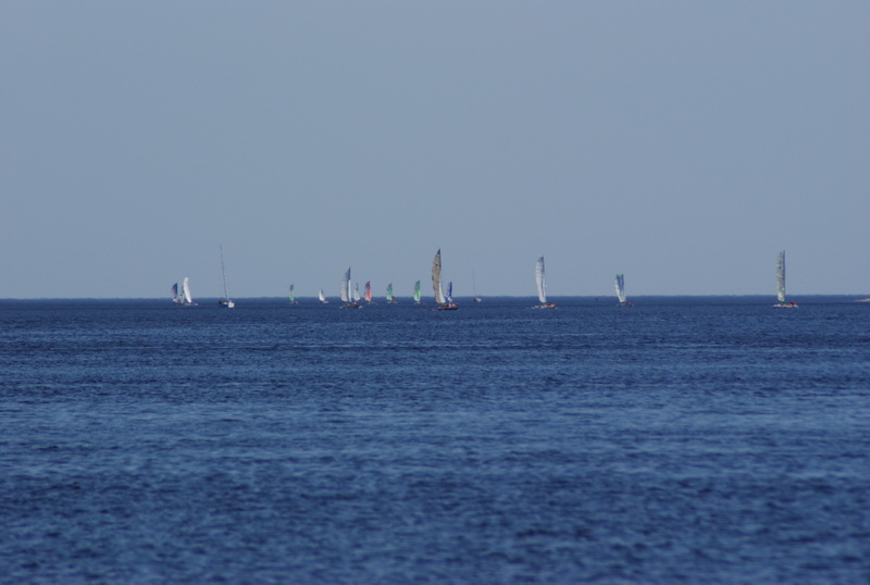 DSC01278.jpg