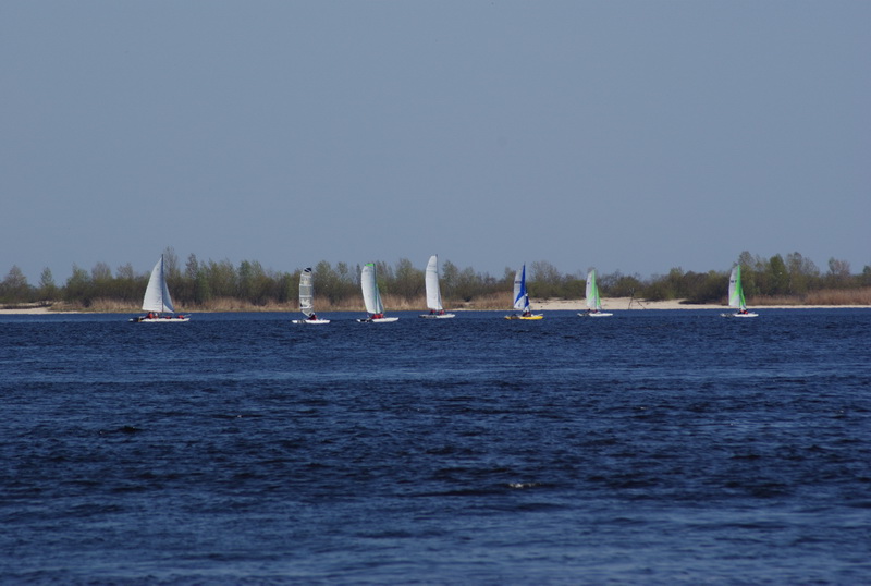 DSC01206.jpg