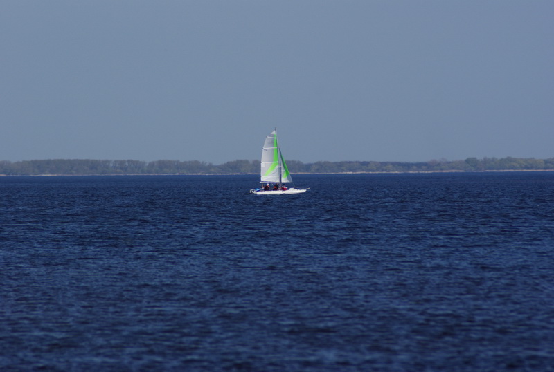 DSC01182.jpg