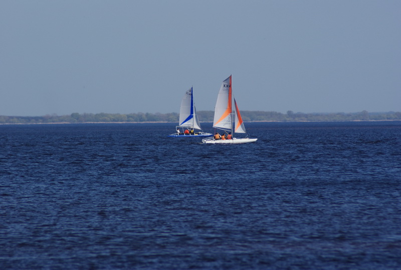 DSC01181.jpg
