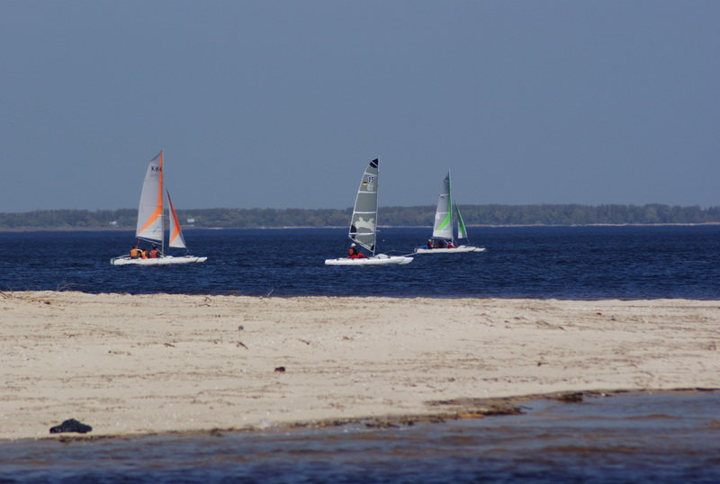 DSC01169.jpg