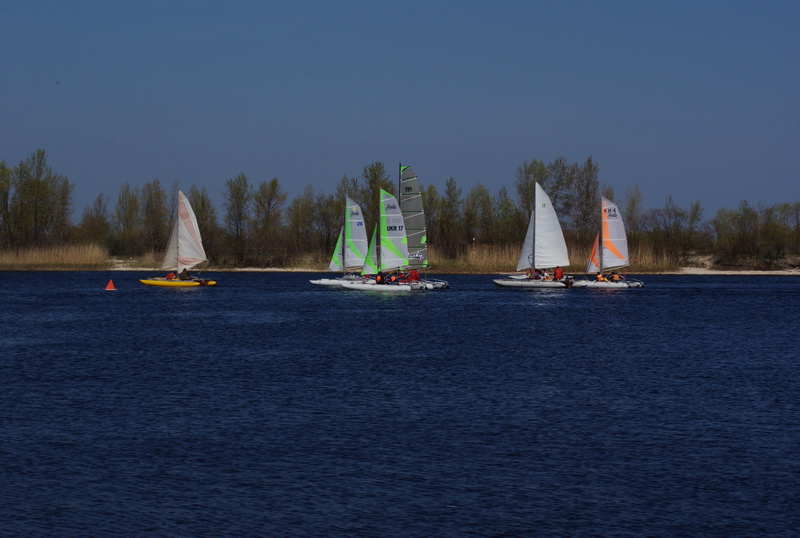 DSC01110.jpg