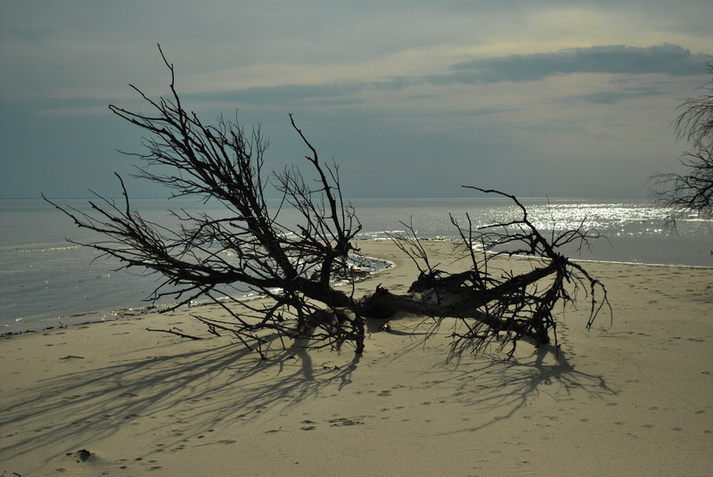 DSC_0026.JPG
