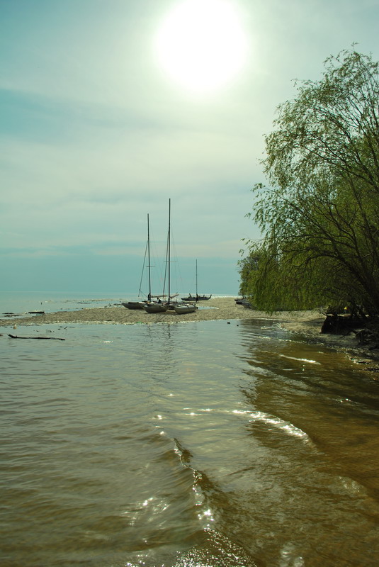 DSC_0005.JPG