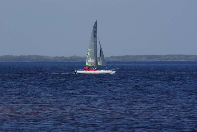 DSC01142.jpg
