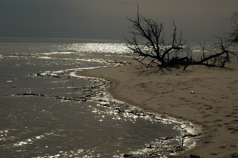 DSC_0522.JPG