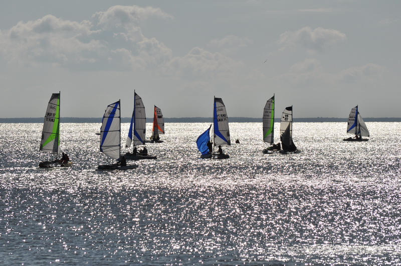 DSC_5507.jpg