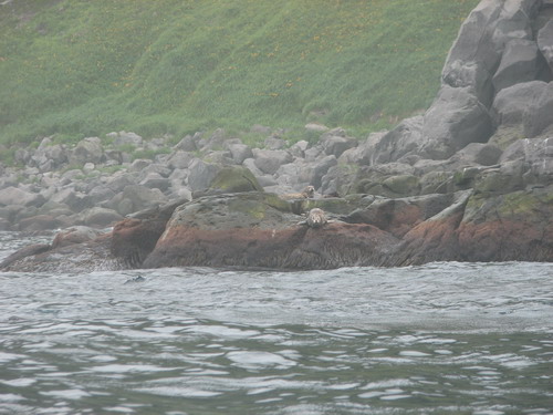 Iturup2 1131.jpg