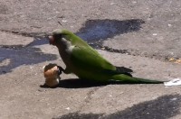 cafe2.jpg (312.99 КБ) 30425 просмотров cafe2.jpg