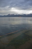 IMG_0563.JPG