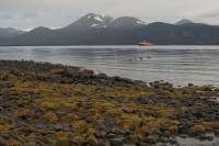 IMG_0571_1.jpg