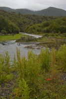 IMG_0583.JPG