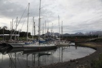 IMG_0698_1.jpg
