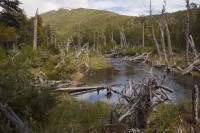IMG_0764.JPG