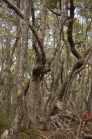 IMG_0762.JPG