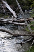 IMG_9605.jpg