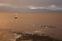 IMG_0849.JPG