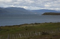 IMG_1333.jpg