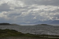 IMG_1323.jpg