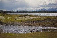 IMG_0923.JPG