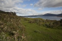 IMG_1179.JPG