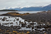 IMG_1069.jpg