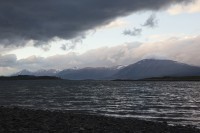 IMG_1304.jpg