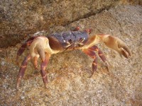 нетронь!.jpg (121.99 КБ) 12152 просмотра нетронь!.jpg