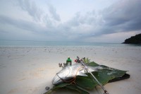 78.jpg (40.82 КБ) 13213 просмотров 78.jpg