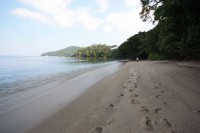 60.jpg (47.74 КБ) 13007 просмотров 60.jpg