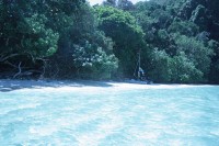 64.jpg (99.14 КБ) 12071 просмотр 64.jpg