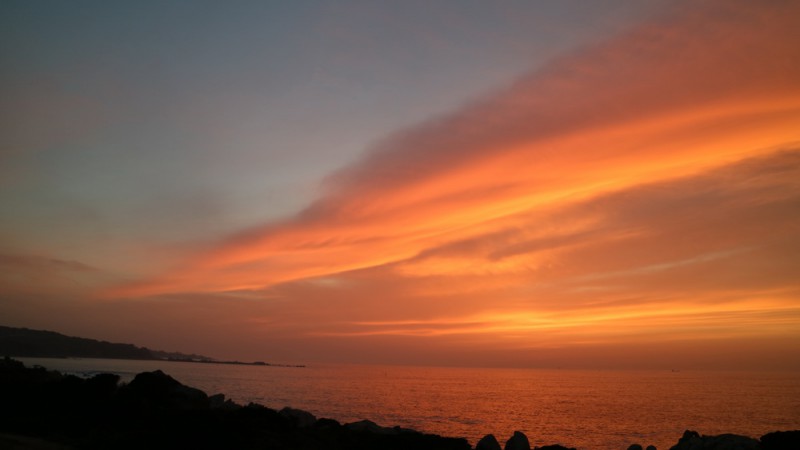 IMG_7725.JPG